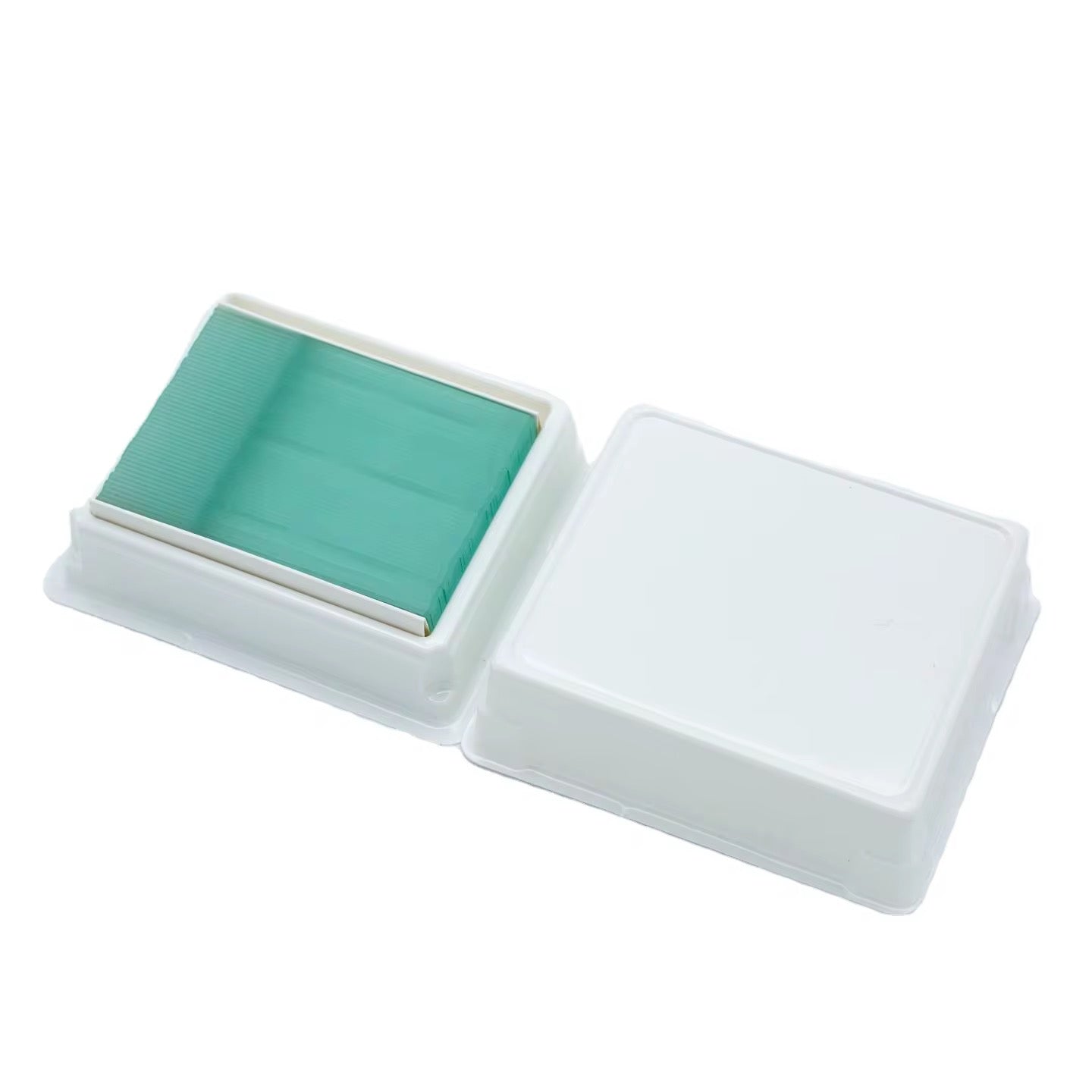Medical Pathology Glass Slides