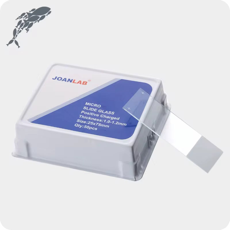 Histology Adhesive Microscope Slides